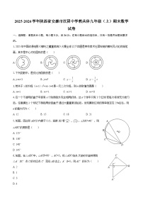 2025-2026学年陕西省安康市汉阴中学教共体九年级（上）期末数学试卷-自定义类型