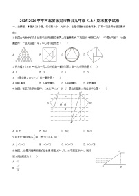 2025-2026学年河北省保定市唐县九年级（上）期末数学试卷-自定义类型