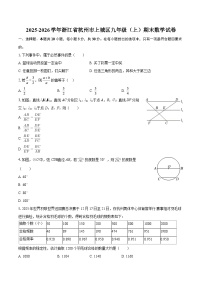 2025-2026学年浙江省杭州市上城区九年级（上）期末数学试卷-自定义类型
