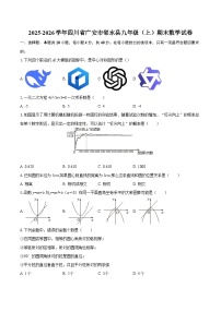 2025-2026学年四川省广安市邻水县九年级（上）期末数学试卷-自定义类型