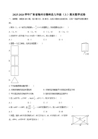 2025-2026学年广东省梅州市蕉岭县九年级（上）期末数学试卷-自定义类型