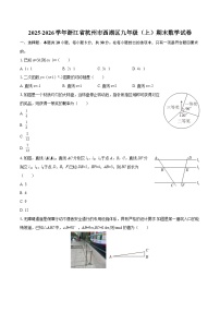 2025-2026学年浙江省杭州市西湖区九年级（上）期末数学试卷-自定义类型