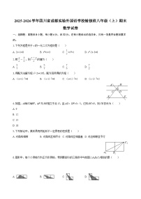 2025-2026学年四川省成都实验外国语学校辅修班八年级（上）期末数学试卷-自定义类型