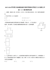 2025-2026学年四川省成都实验外国语学校西区学校百人计划班九年级（上）期末数学试卷-自定义类型