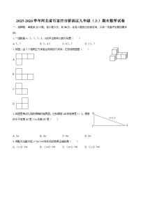 2025-2026学年河北省石家庄市桥西区九年级（上）期末数学试卷-自定义类型