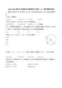 2025-2026学年江苏省淮安市淮阴区九年级（上）期末数学试卷-自定义类型