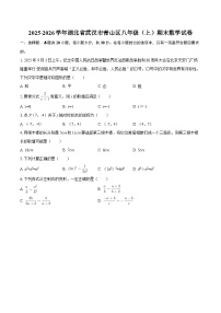 2025-2026学年湖北省武汉市青山区八年级（上）期末数学试卷-自定义类型
