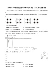 2025-2026学年湖北省荆州市沙市区九年级（上）期末数学试卷-自定义类型
