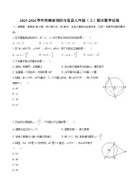 2025-2026学年河南省信阳市息县九年级（上）期末数学试卷-自定义类型