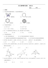 2025-2026学年北京市第五十七中学上学期八年级期中数学（无答案）试卷