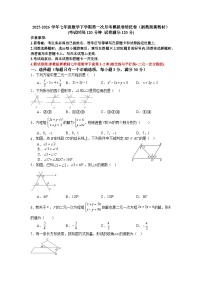 2025-2026学年七年级数学下学期第一次月考模拟卷培优卷（浙教版新教材）