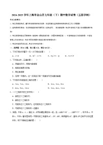 2024-2025学年上海市金山区七年级（下）期中数学试卷（五四学制） （含解析）