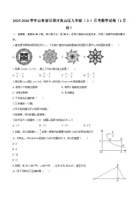 2025-2026学年山东省日照市岚山区九年级（上）月考数学试卷（1月份）-自定义类型