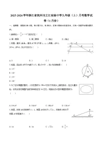 2025-2026学年浙江省杭州市之江实验中学九年级（上）月考数学试卷（1月份）-自定义类型