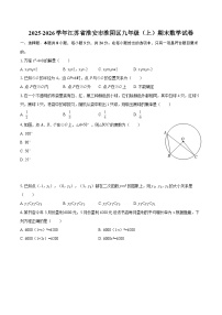 2025-2026学年江苏省淮安市淮阴区九年级（上）期末数学试卷-自定义类型