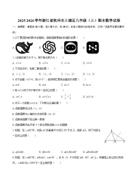 2025-2026学年浙江省杭州市上城区八年级（上）期末数学试卷-自定义类型