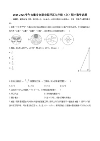 2025-2026学年安徽省合肥市经开区九年级（上）期末数学试卷（含答案）
