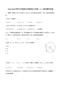 2025-2026学年江苏省淮安市淮阴区九年级（上）期末数学试卷（含答案）