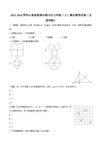 2025-2026学年山东省淄博市淄川区七年级（上）期末数学试卷（五四学制）（含答案）