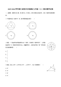 2025-2026学年浙江省杭州市钱塘区九年级（上）期末数学试卷（含答案）
