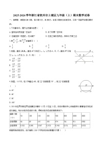 2025-2026学年浙江省杭州市上城区九年级（上）期末数学试卷（含答案）