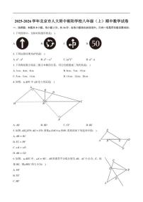 2025-2026学年北京市中国人民大学附属中学朝阳学校八年级上学期期中数学_(含答案_)试卷