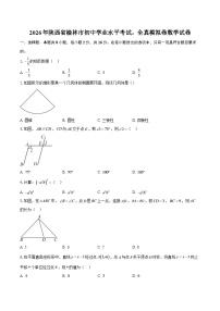2026年陕西省榆林市初中学业水平考试。全真模拟卷数学试卷-自定义类型