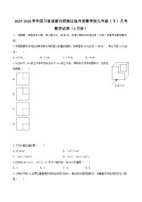 2025-2026学年四川省成都市武侯区盐外芙蓉学校九年级（下）月考数学试卷（3月份）-自定义类型