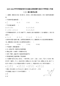 2025-2026学年河南省郑州市高新区朗悦慧外国语中学等校八年级（上）期末数学试卷-自定义类型