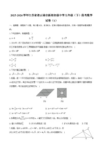 2025-2026学年江苏省连云港市新海初级中学九年级（下）段考数学试卷（1）（含答案+解析）