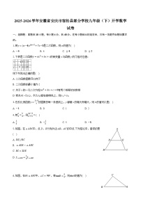 2025-2026学年安徽省安庆市宿松县部分学校九年级（下）开学数学试卷（含答案+解析）