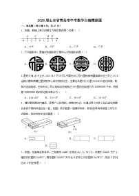2026年山东省青岛市中考模拟数学自编试卷含答案