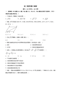 广东省广州市广州大学附属中学2024-2025学年下学期八年级数学期中考试卷（原卷版+解析版）
