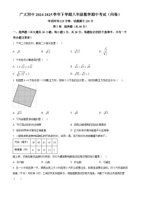 广东省广州市广州大学附属中学2024~2025学年八年级下学期期中考试数学试卷（原卷版+解析版）