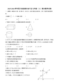 2025-2026学年四川省成都市金牛区七年级（上）期末数学试卷-自定义类型