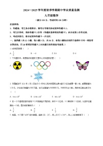 广西南宁市高新初级中学九年级上学期数学期中考试试题（原卷版）-A4
