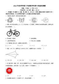 广西壮族自治区防城港市防城区2024—2025学年上学期八年级数学科期中质量检测 试题（原卷版）-A4