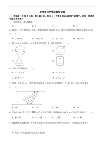 四川省泸州市2026年中考适应性考试数学试题四套含答案