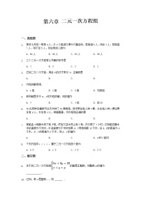 数学冀教版第六章   二元一次方程组综合与测试达标测试