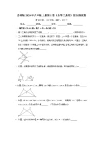 数学八年级上册第一章 全等三角形综合与测试精练