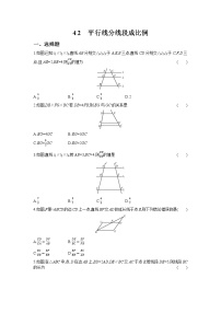 北师大版2 平行线分线段成比例习题