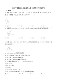 湘教版八年级上册第2章 三角形综合与测试复习练习题