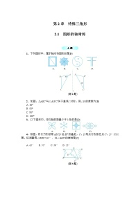 初中数学浙教版八年级上册2.1 图形的轴对称导学案