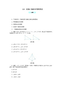 浙教版八年级上册第2章 特殊三角形2.8 直角三角形全等的判定学案