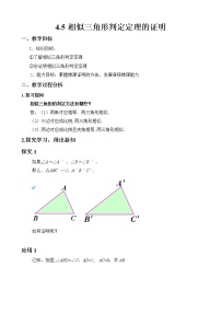 北师大版九年级上册5 相似三角形判定定理的证明教案