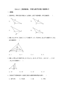 初中11.1.2 三角形的高、中线与角平分线优秀课时训练