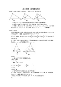 2020年 人教版八年级数学上册期末专题《压轴题专练》(含答案)