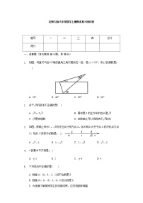 北师大版八年级数学上册期末复习测试卷（有答案）