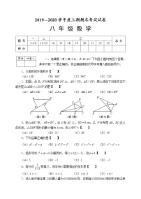 河南省周口市川汇区2019-2020学年度上期期末八年级数学试卷（word版有答案）