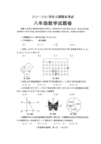 河南省郑州市2019-2020学年八年级上学期期末考试数学试题（扫描版有答案）